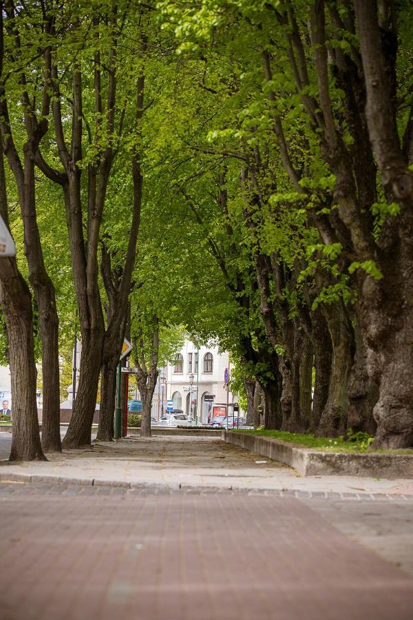 Apartmán Dvieju Kambariu Butas Klaipedos Centre Klaipėda Exteriér fotografie